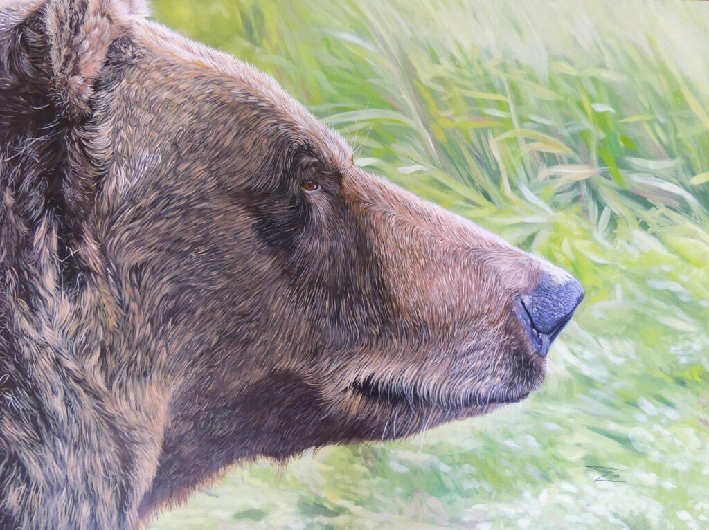A painting of the profile of an Alaskan Brown Bear