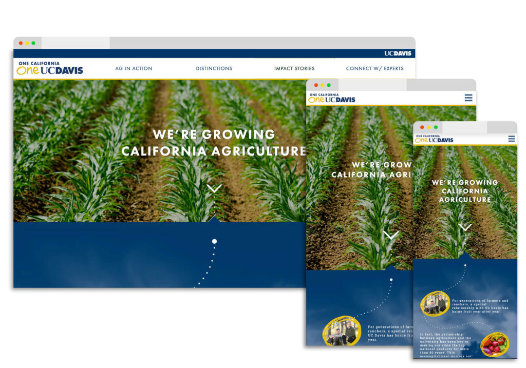 Three different views of the UC Davis One California website designed and developed by Tom Watts